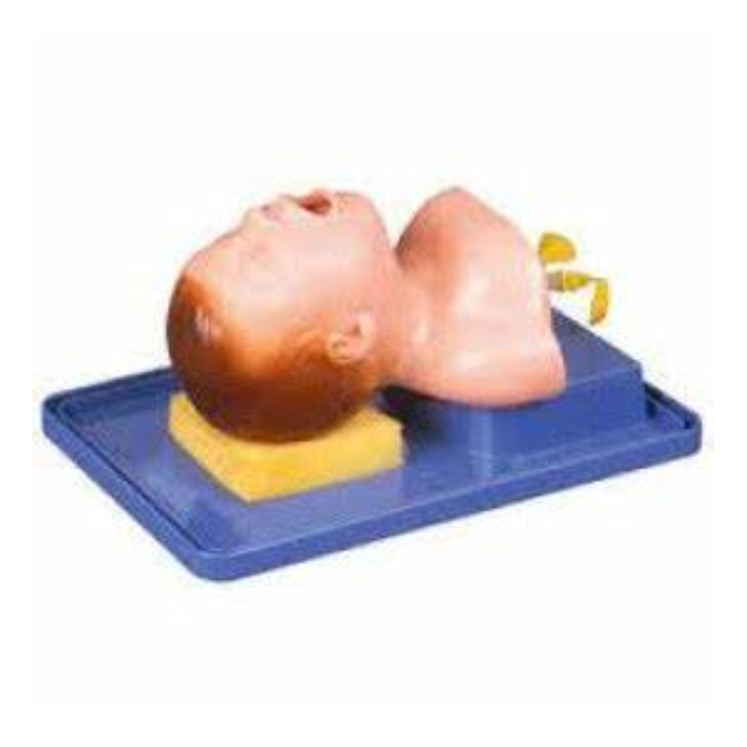 Neonate Intubation Training Model